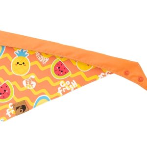 BANDANA FRUITS (3)