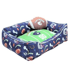 CAMA SUPERBOWL1