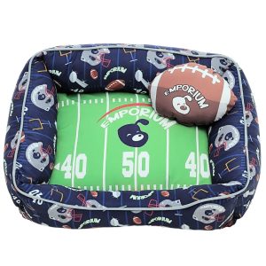CAMA SUPERBOWL4