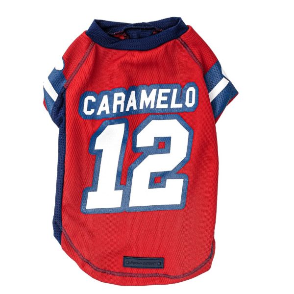 CAMISETA SUPERBOWL1