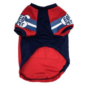 CAMISETA SUPERBOWL2